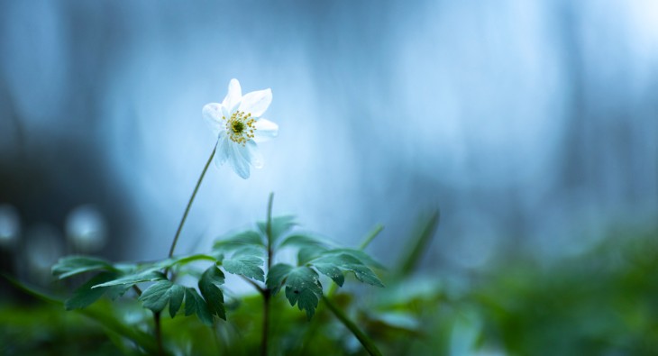 Cours de photographie - Maitriser son appareil